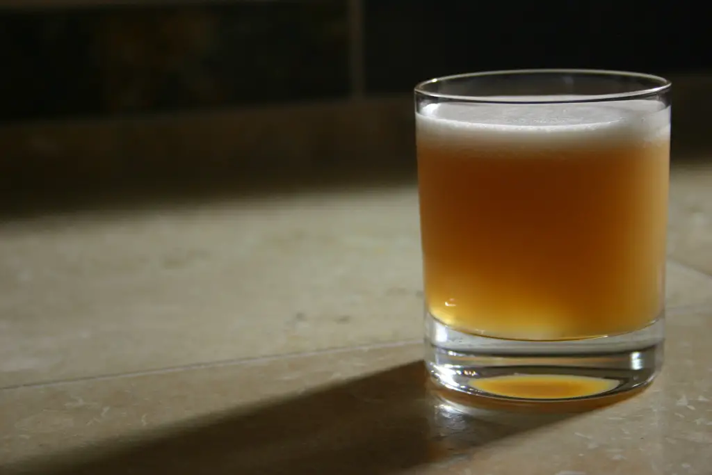 Le guide du Whisky - Whisky Sour